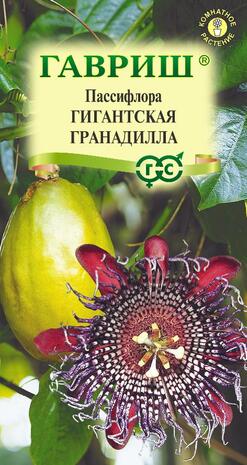 Пассифлора четырехгранная Гигантская гранадилла* 3 шт. 