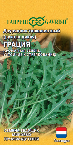 Двурядник тонколистный (рукола дикая) Грация  500 шт. (Голландия) Н21