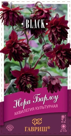 Аквилегия Нора Барлоу, культурная* 7 шт. серия Блэк