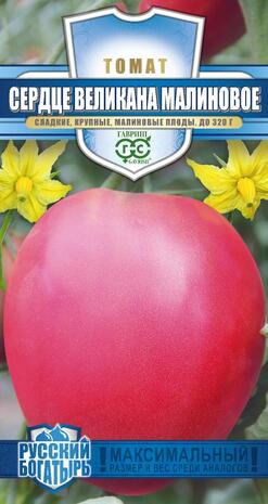 Томат СЕРДЦЕ ВЕЛИКАНА МАЛИНОВОЕ