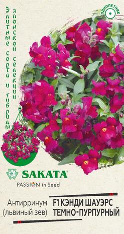 Антирринум (Львиный зев) Кэнди Шауэрс темно-пурпурный F1* 3 шт. Саката серия Элитная клумба Н22  Антирринум (Львиный зев) Кэнди Шауэрс темно-пурпурный F1* 3 шт. Саката серия Элитная клумба Н22