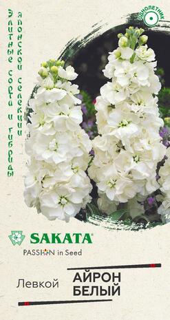 Левкой седой Айрон белый  5 шт. Саката серия Эксклюзив Н22