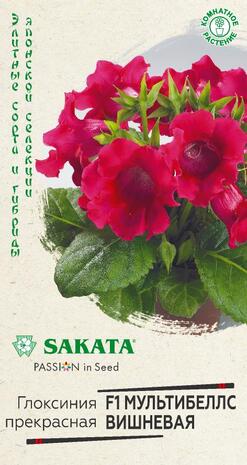 Глоксиния Мультибеллс вишневая F1 гранул. 4 шт. пробирка Саката серия Эксклюзив Н22