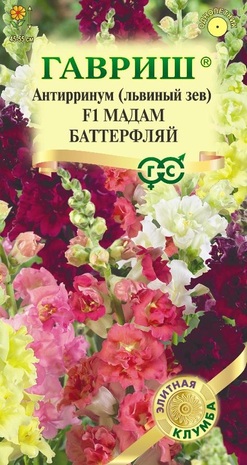 Антирринум (Львиный зев) Мадам Баттерфляй 7 шт.* серия Элитная клумба 