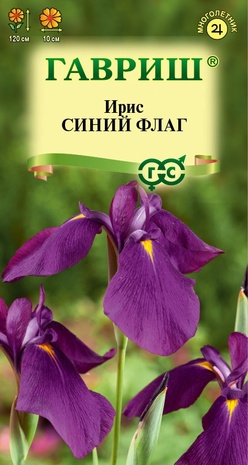 Ирис (Касатик) сибирский  Синий флаг 3 шт. Н22 Ирис (Касатик) сибирский  Синий флаг 3 шт. Н22