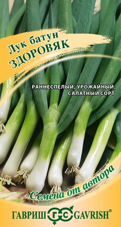 Лук батун Здоровяк 0,5 г автор. Н22 Лук батун Здоровяк 0,5 г автор. Н22