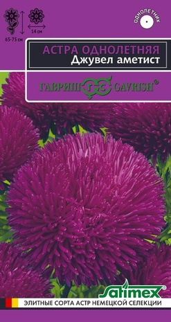 Астра Джувел Аметист, однолетняя (игольчато-коготковая)* 0,05  г серия Эксклюзив