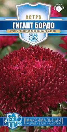 Астра Гигант бордо, однолетняя*  0,05 г (игольчато-коготковая) серия Русский богатырь Н18