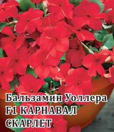 Бальзамин Карнавал Скарлет F1 (Уоллера) 100 шт.*  сер. Профи 