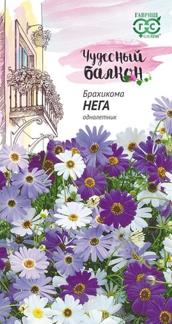 Брахикома Нега* 0,02 г серия Чудесный балкон  Брахикома Нега* 0,02 г серия Чудесный балкон