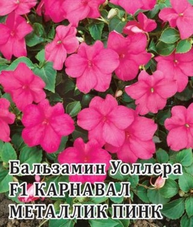Бальзамин Карнавал Металик Пинк F1 (Уоллера) 100 шт.*  сер. Профи 