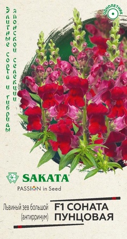 Антирринум (Львиный зев) Соната пунцовая F1* 7 шт. Саката серия Элитная клумба Н21