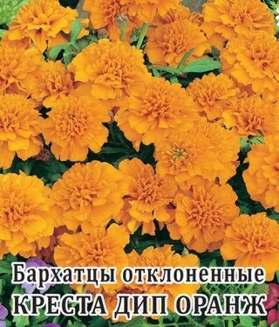 Бархатцы откл. Креста Дип Оранж (Тагетес) 100 шт.* сер. Профи 