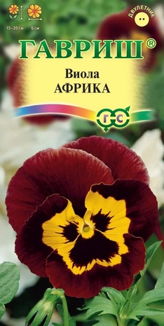 Виола Африка, Виттрока (Анютины глазки)* 0,05 г