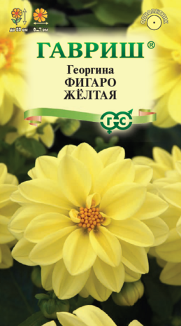 Георгина Фигаро желтая 7 шт. негранул. Н23 Георгина Фигаро желтая 7 шт. негранул. Н23