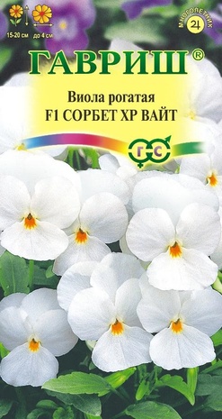 Виола Сорбет XP Вайт F1 рогатая (Анютины глазки)* 4 шт. Виола Сорбет XP Вайт F1 рогатая (Анютины глазки)* 4 шт.