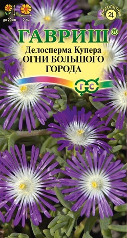 Делосперма обильноцветущая Огни большого города, гранул. пробирка 7 шт. Н22 Делосперма обильноцветущая Огни большого города, гранул. пробирка 7 шт. Н22