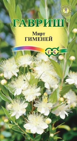 Мирт обыкновенный Гименей 4 шт.
