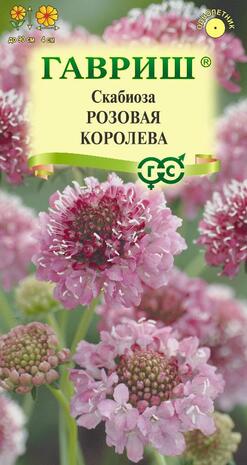 Скабиоза темнопурпурная Розовая королева махр. 6 шт.Н22 Скабиоза темнопурпурная Розовая королева махр. 6 шт.Н22
