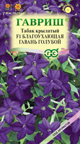 Табак крылатый (душистый) Благоухающая гавань голубой F1, 4 шт. пробирка, серия Сад ароматов  