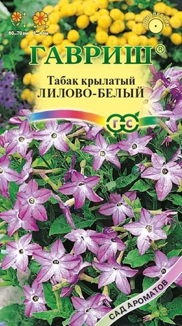 Табак крылатый (душистый) Лилово-белый, 0,05 г 