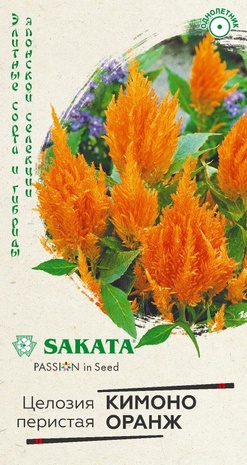 Целозия Кимоно Оранж перистая* 8 шт. Саката серия Элитная клумба 
