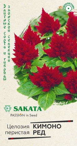 Целозия Кимоно Ред перистая 8 шт.* Саката серия Элитная клумба 