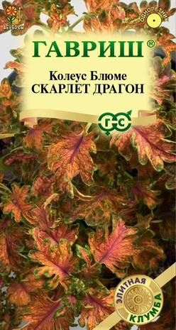 Колеус Блюме Скарлет Драгон* 4 шт. Элитная клумба Н23 Колеус Блюме Скарлет Драгон* 4 шт. Элитная клумба Н23