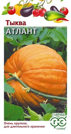 Тыква крупноплодная Атлант 2,0 г Н24 Тыква крупноплодная Атлант 2,0 г Н24