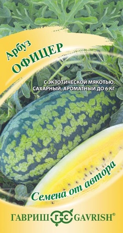 Арбуз Офицер 5 шт. автор. Н24