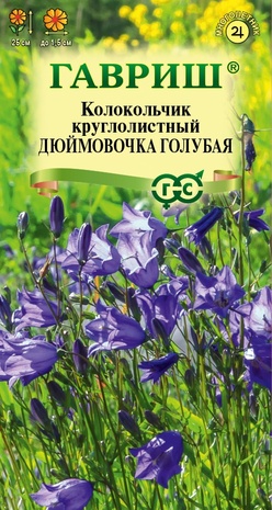 Колокольчик круглолистный Дюймовочка голубая 0,01 г Н23