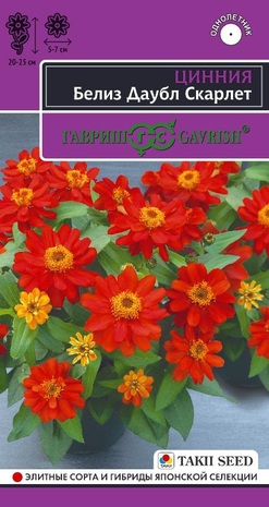 Цинния Белиз даубл скарлет (Zinnia elegans Jacq) 5 шт. серия Эксклюзив Н24