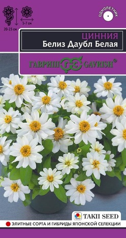 Цинния Белиз даубл белая (Zinnia elegans Jacq) 5 шт. серия Эксклюзив Н24