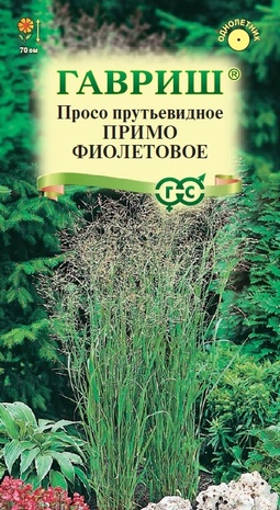 Просо Примо фиолетовое (декоративное) 0,5 г Просо Примо фиолетовое (декоративное) 0,5 г