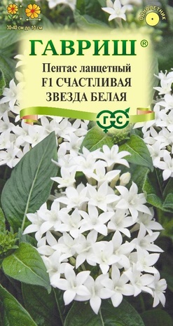 Пентас ланцетный F1 СЧАСТЛИВАЯ ЗВЕЗДА БЕЛАЯ,  3 шт пробиркаН24