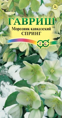 Морозник кавказский Спринг (лимонно-зеленый) 0,1 г DHп