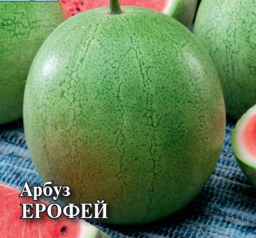 Арбуз Ерофей 50 г 