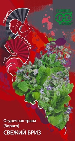 Бораго Огуречная трава Свежий бриз 0,5 г серия Пряности и страсти