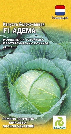 Капуста белокоч. Адема РЗ F1 10 шт. ранняя  (Голландия) Капуста белокоч. Адема РЗ F1 10 шт. ранняя  (Голландия)