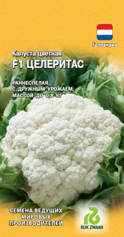 Капуста цветная Целеритас F1 10 шт. (Голландия) Н19