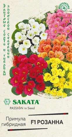 Примула гибридная (первоцвет) Розанна F1 махровая, смесь* 4 шт. Саката серия Эксклюзив  Примула гибридная (первоцвет) Розанна F1 махровая, смесь* 4 шт. Саката серия Эксклюзив