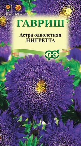 Астра Нигретта 0,3 г, принцесса темно-фиолет.