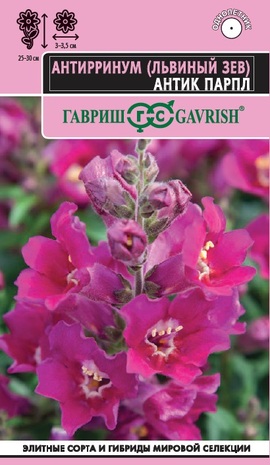 Антирринум (Львиный зев) Антик Парпл 7 шт.  серия Эксклюзив