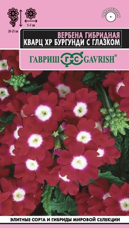 Вербена Кварц XP Бургунди с глазком, гибридная* 4 шт. серия Элитная клумба 