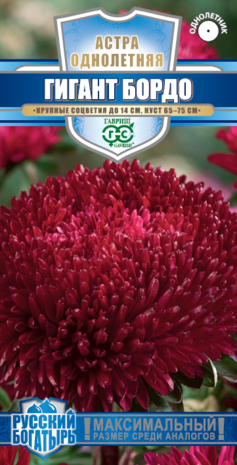 Астра Гигант бордо, однолетняя*  0,05 г (игольчато-коготковая) серия Русский богатырь Н18