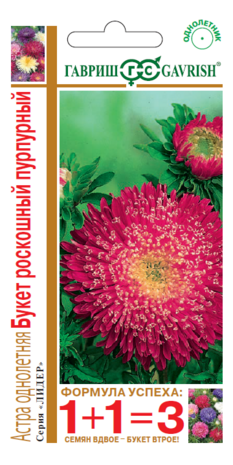 Астра Букет роскошный пурпурный 0,5г, серия 1+1  Н14