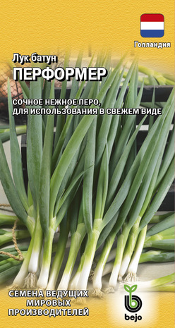 Лук батун Перформер 0,2 г на зелень (Голландия) Н13 Лук батун Перформер 0,2 г на зелень (Голландия) Н13