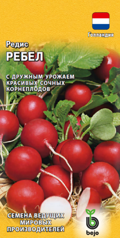 Редис Ребел 1,0 г (Голландия) Н14
