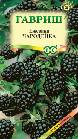 Ежевика Чародейка 10 шт. Н13 Ежевика Чародейка 10 шт. Н13