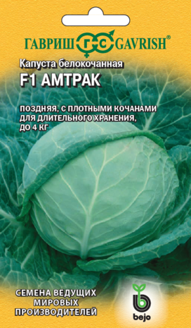 Капуста белокоч. Амтрак F1 10 шт. для хранения  (Голландия) Н14
